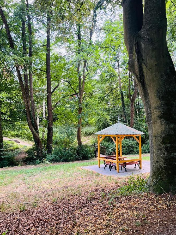 Casa Parkview - Relax & Chill - Perfect For Business Travel, Weekend Trip, Family&friends, Dogs Lover, Romance, Layover Or Longstay *