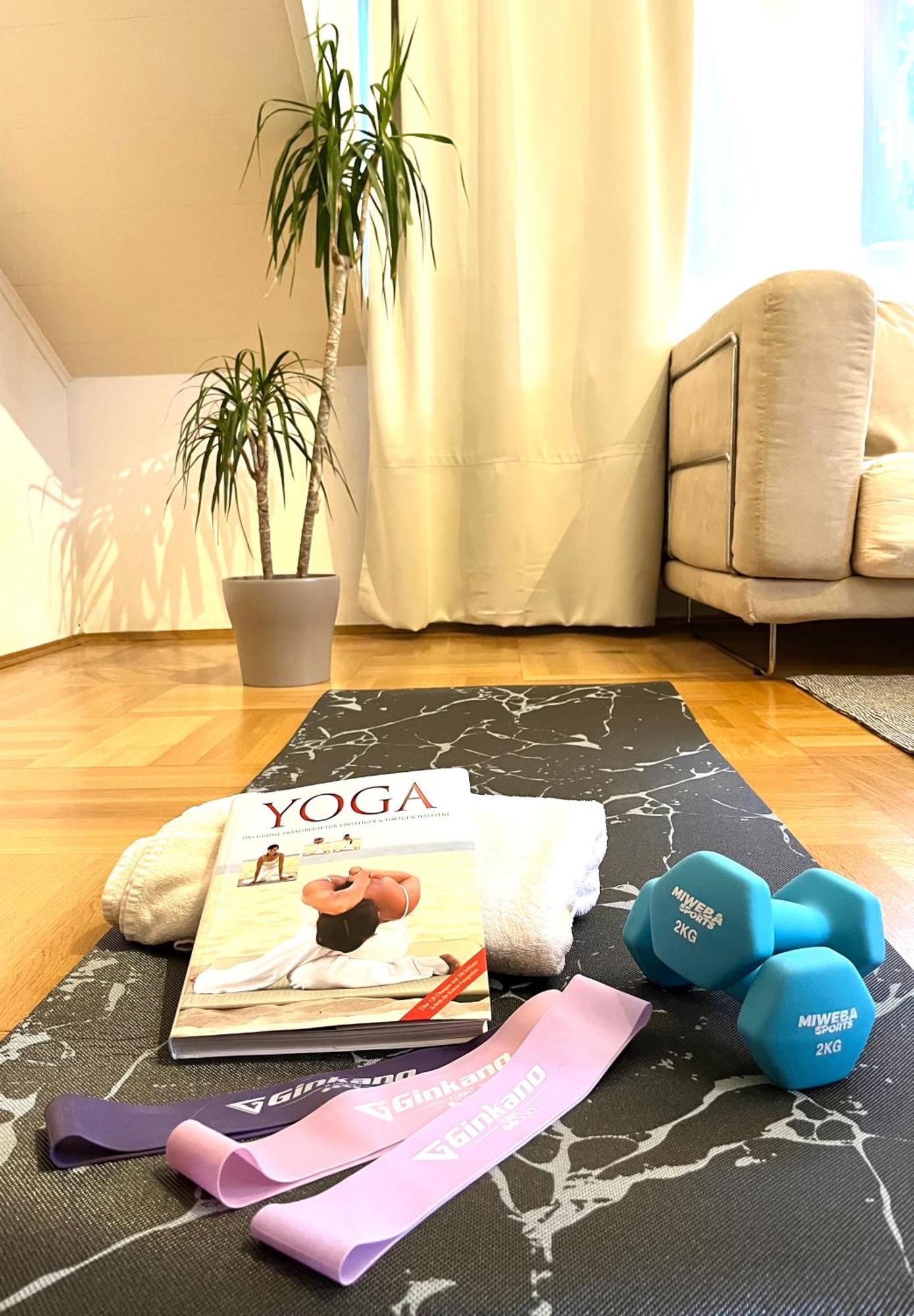 Apartment Casa Parkview - Relax & Chill - Perfect For Business Travel, Weekend Trip, Family&friends, Dogs Lover, Romance, Layover Or Longstay Limburg an der Lahn